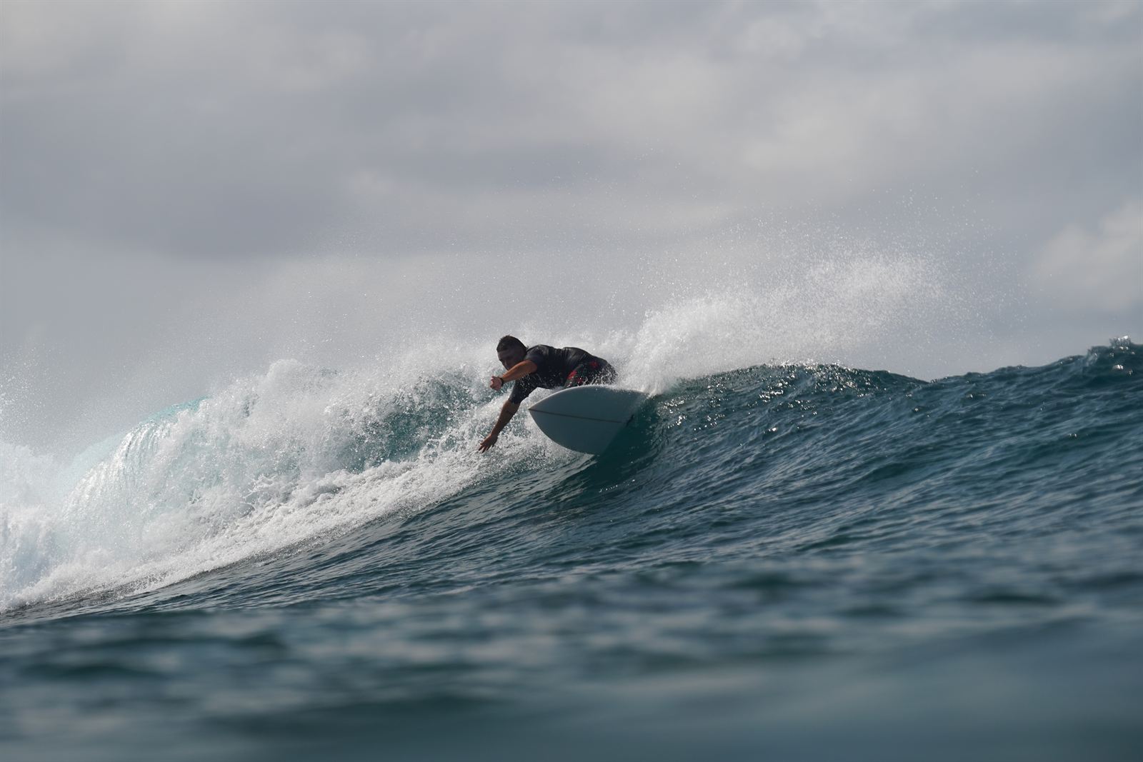 Surfeando la ola