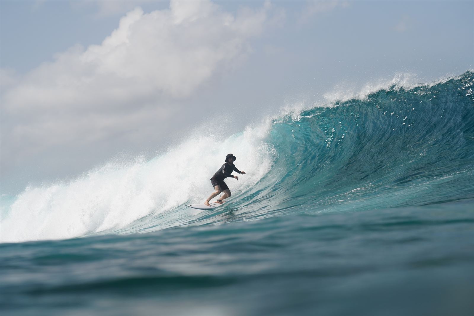 Barco de surf dhoni